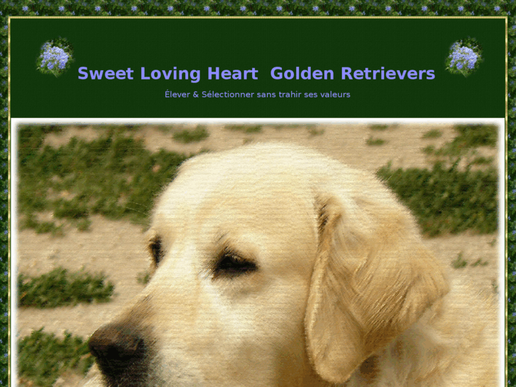 www.sweetlovingheart.com