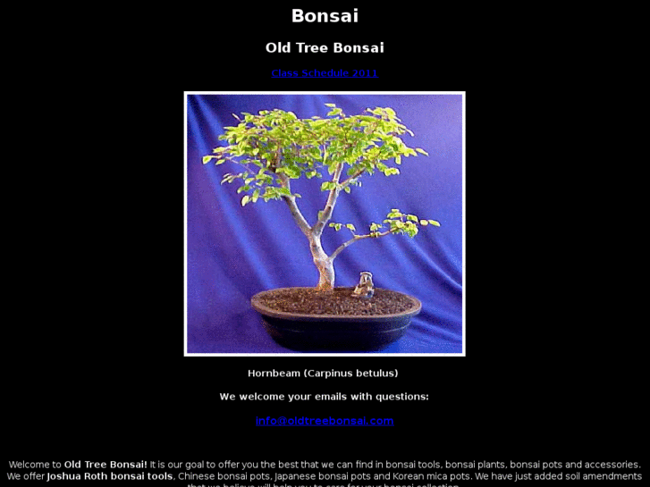 www.beginningbonsai.com