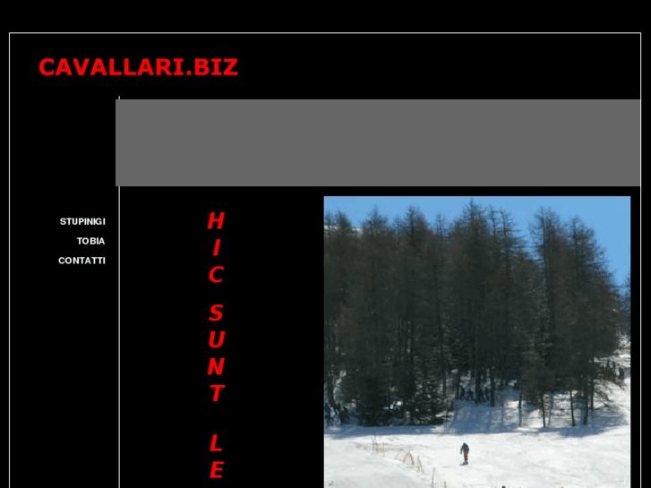 www.cavallari.biz