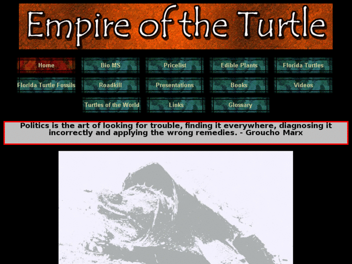 www.empireoftheturtle.com