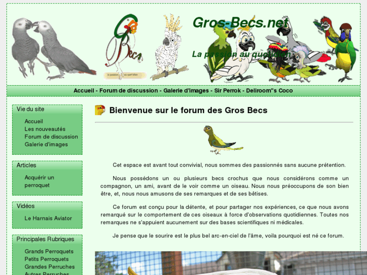 www.gros-becs.net