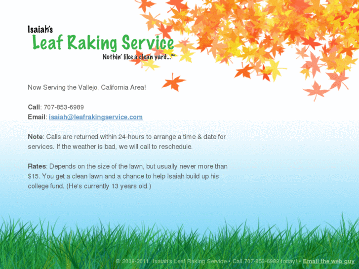 www.leafrakingservice.com