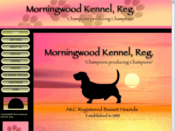 www.morningwoodbassets.com