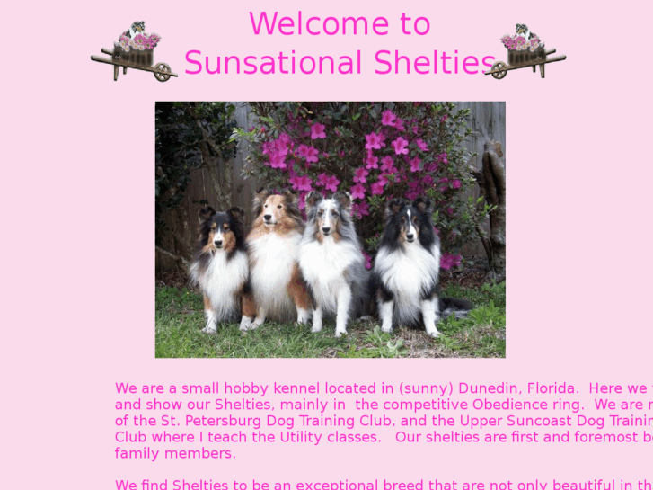 www.sunsational-shelties.com