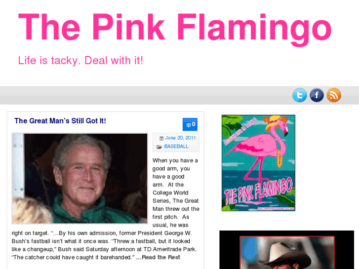 www.thepinkflamingoblog.com