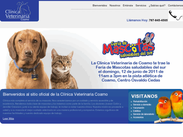 www.veterinariocoamo.com