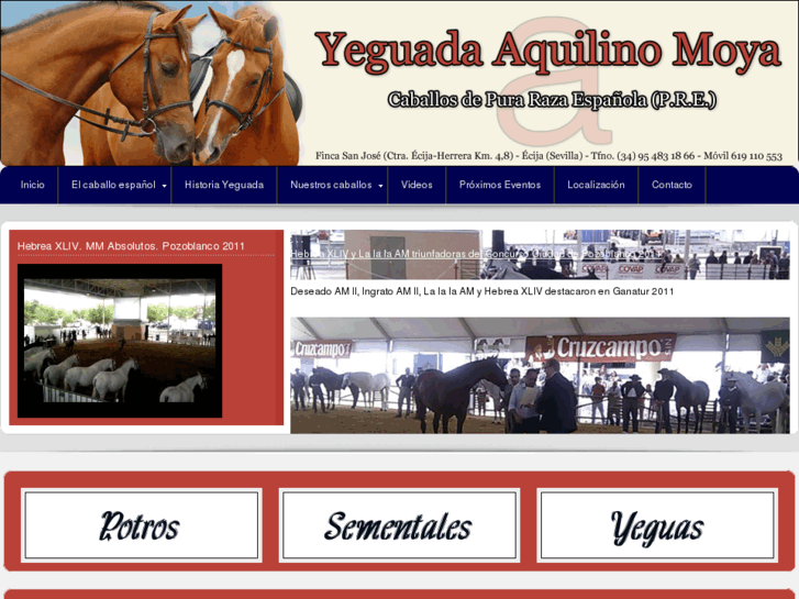 www.yeguadaaquilinomoya.com