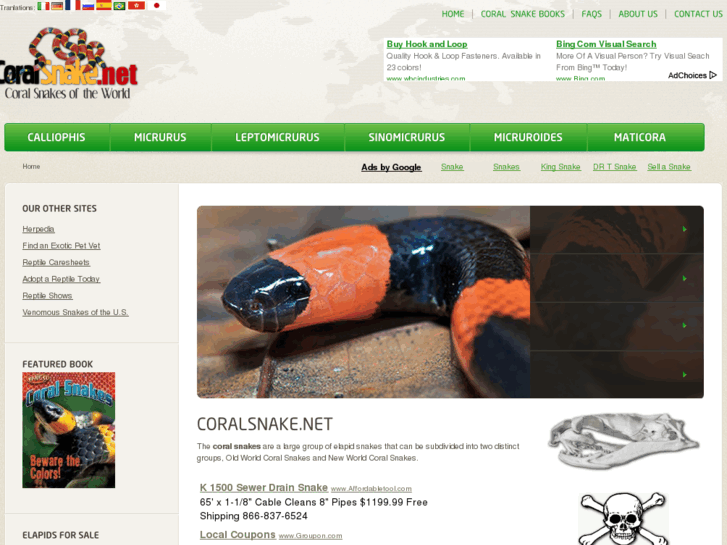 www.coralsnake.net