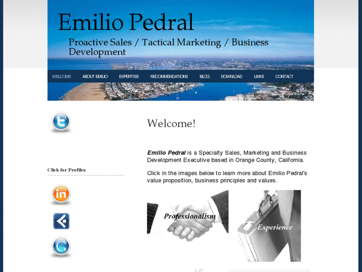 www.emiliopedral.com