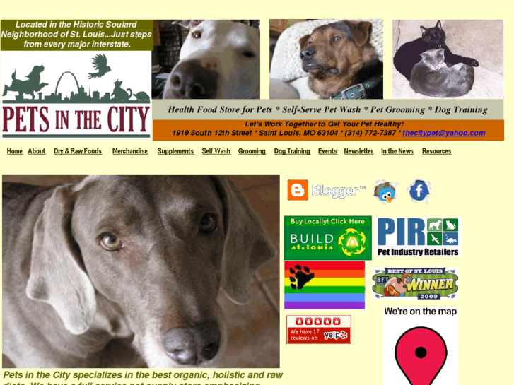 www.thecitypet.com