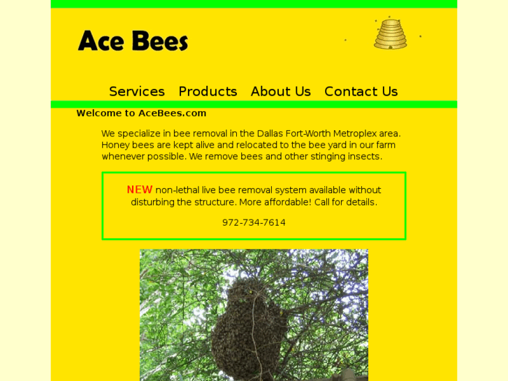 www.acebees.com