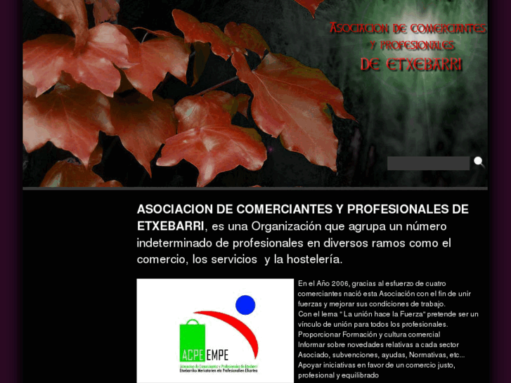 www.asociacionetxebarri.com