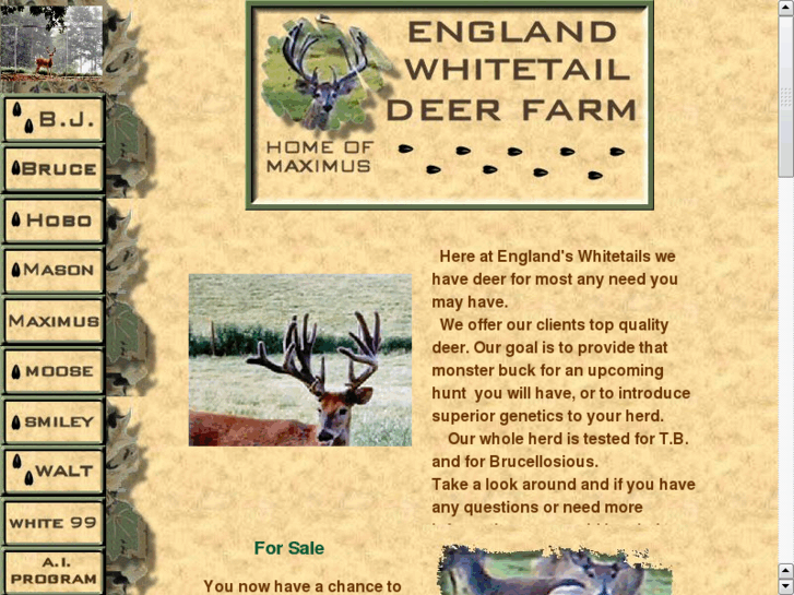 www.englandswhitetaildeerfarm.com