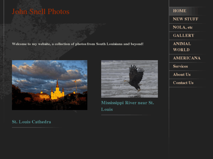 www.johnsnell.net