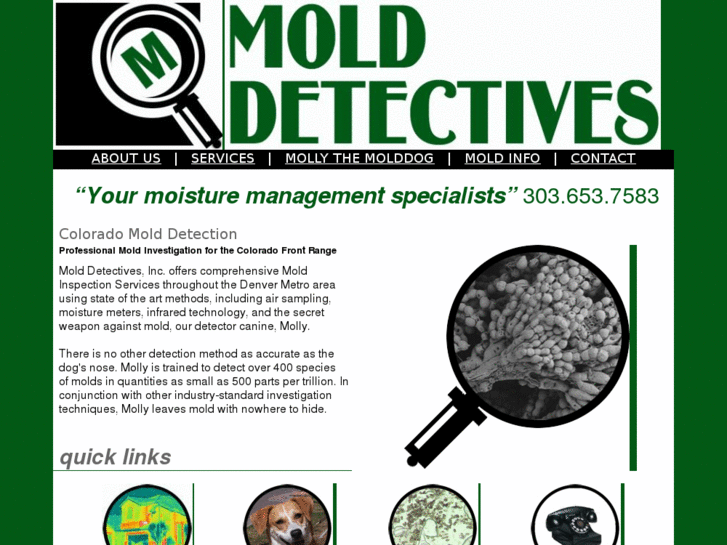 www.molddetectivesinc.com