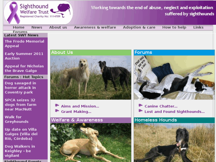 www.sighthounds.org.uk