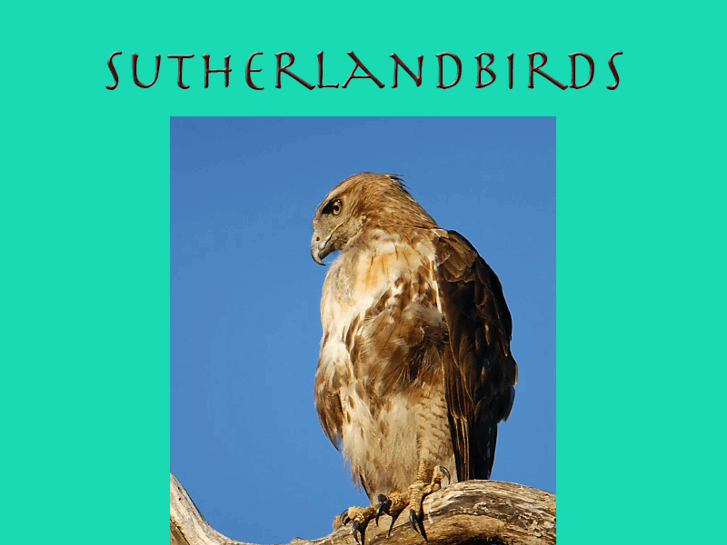 www.sutherlandbirds.com