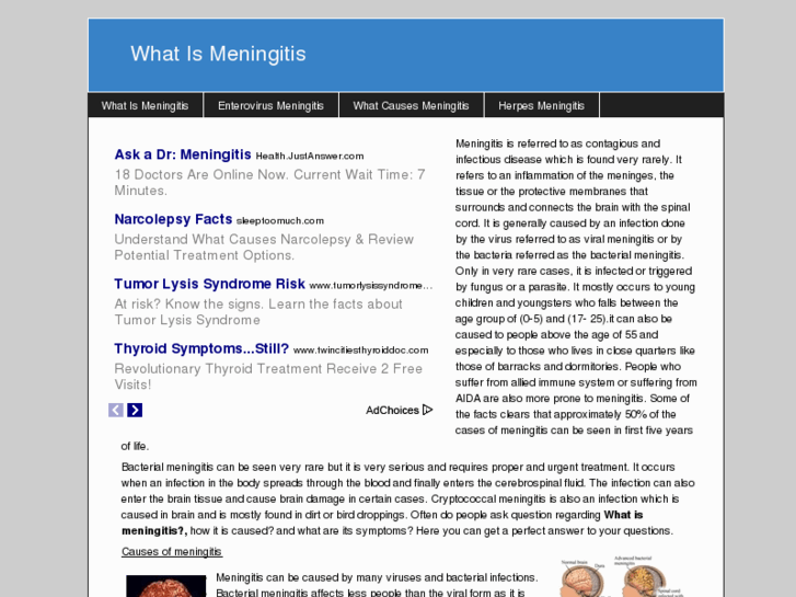 www.whatismeningitis.info