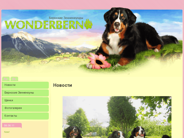 www.wonderbern.ru