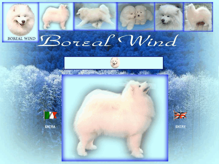 www.borealwind.com