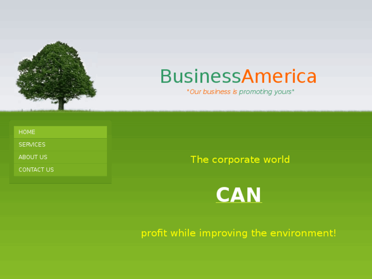 www.businessamericacorp.com