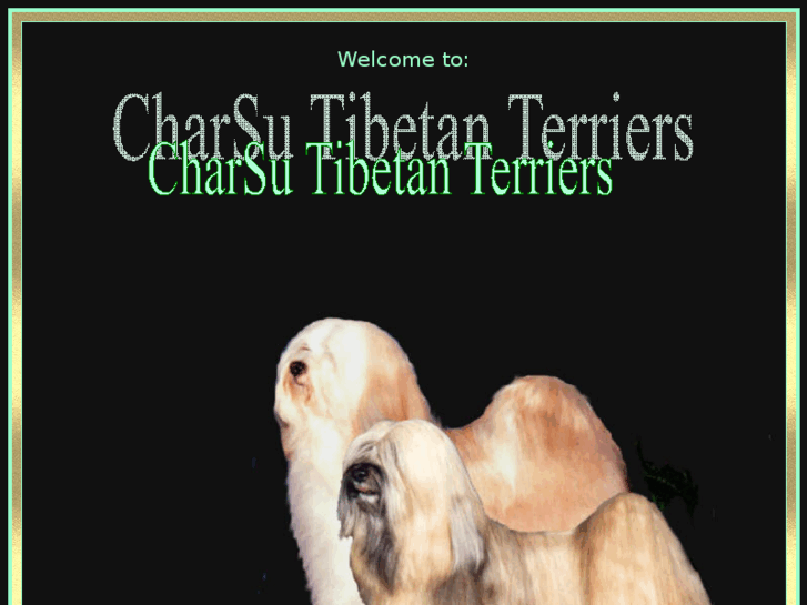 www.charsutibetanterriers.com