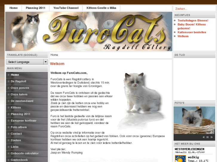 www.furocats.com