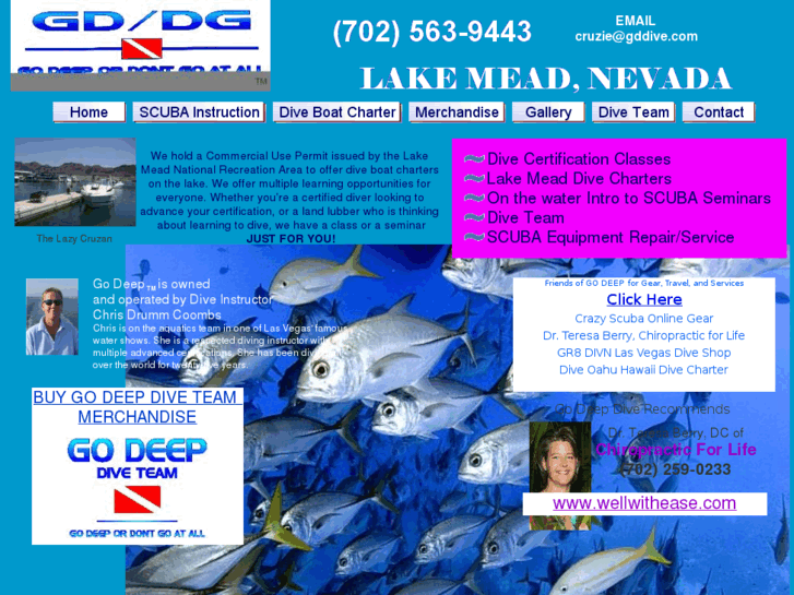 www.gddive.com