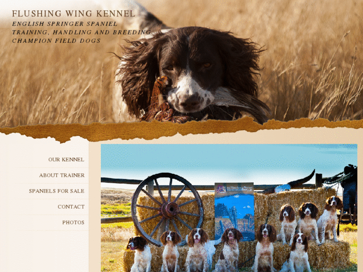 www.myspaniel.com