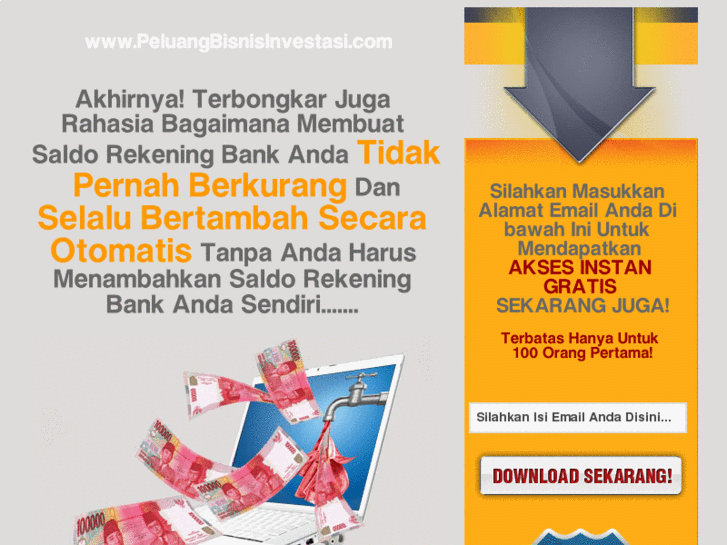 www.peluangbisnisinvestasi.com