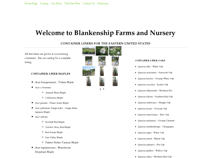 www.blankenshipfarmsandnursery.com