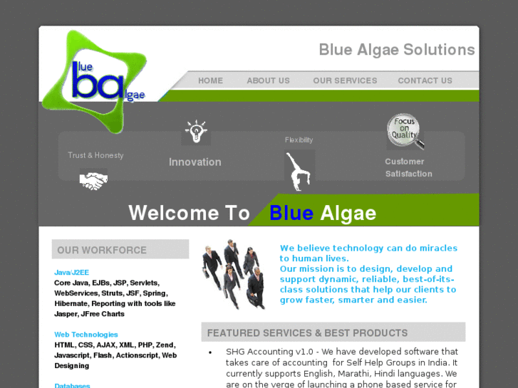 www.bluealgaesolutions.com