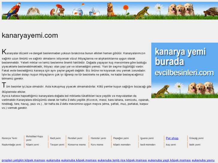 www.kanaryayemi.com