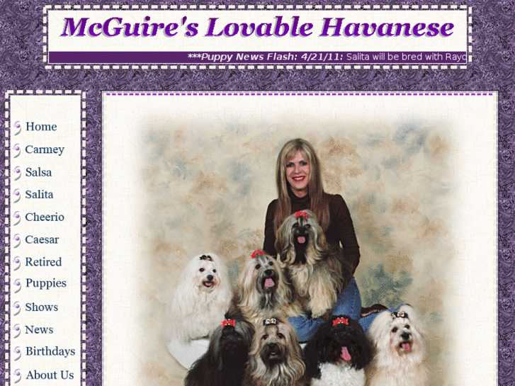 www.mcguireslovablehavanese.com