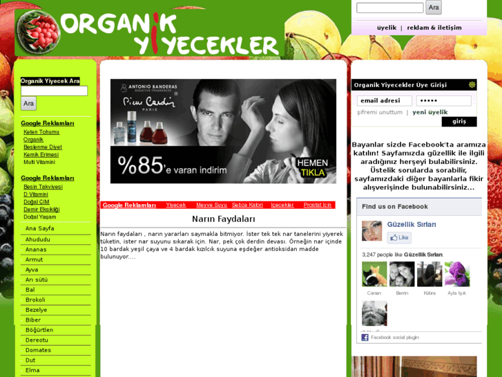 www.organikyiyecekler.net