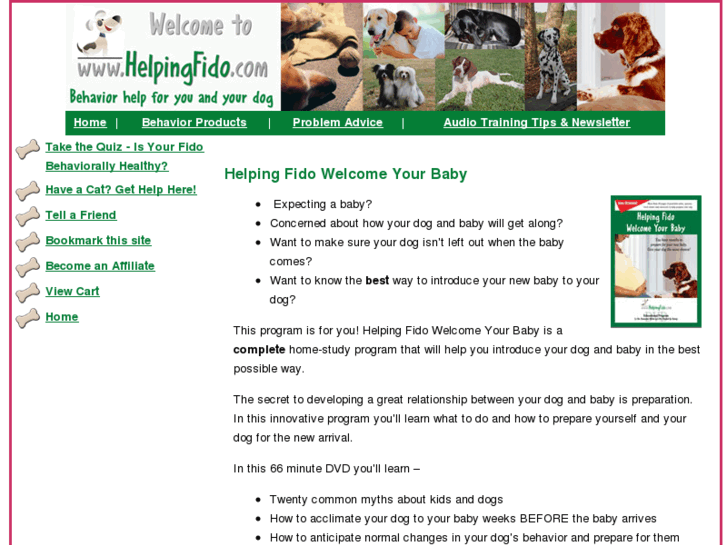 www.babyandfido.com