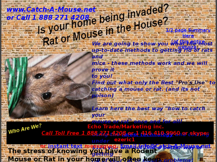 www.catch-a-mouse.net