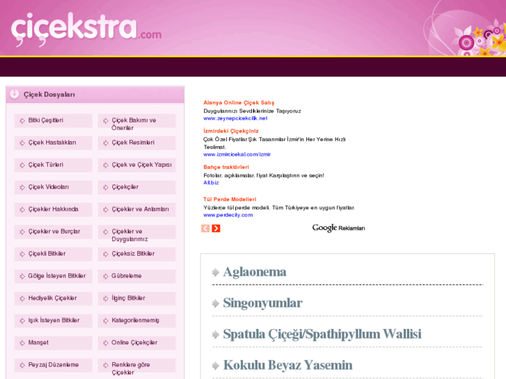 www.cicekstra.com