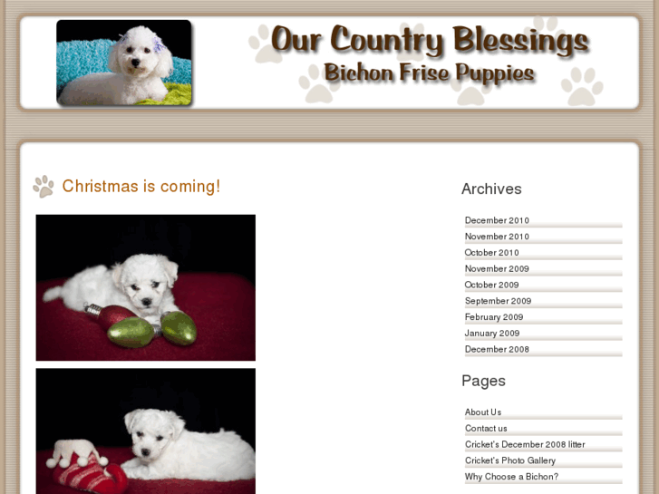 www.countryblessingspuppies.com