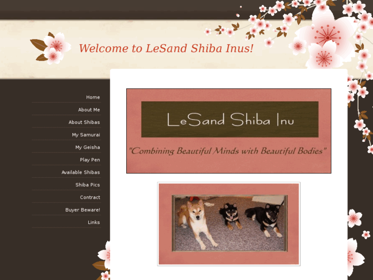 www.lesandshibainu.com