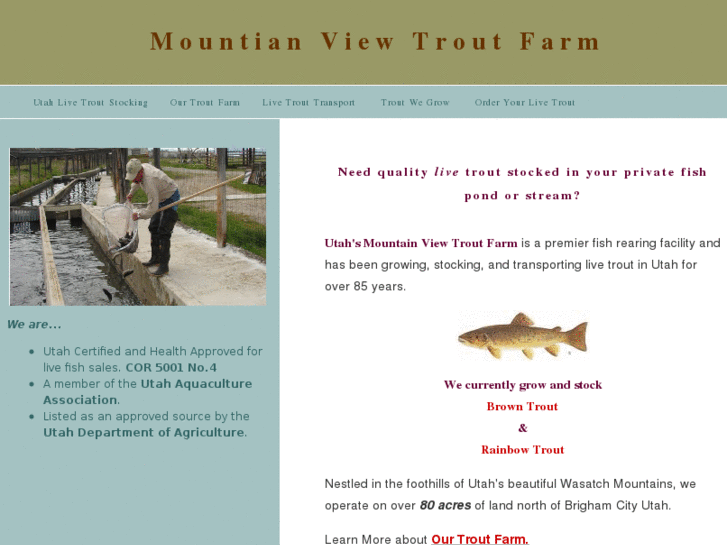 www.mountainviewtroutfarm.com