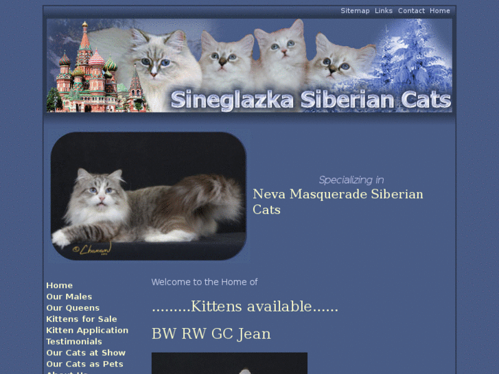 www.siberian-colorpoint-kittens-for-sale.com