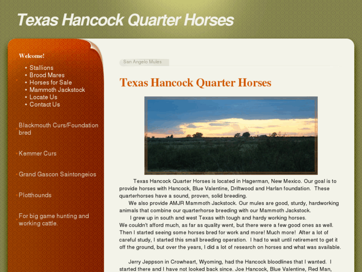 www.texashancockquarterhorses.com