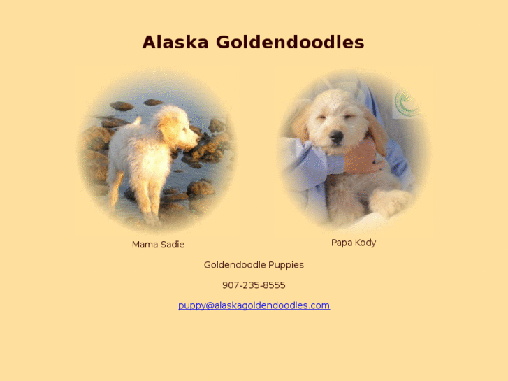 www.alaskagoldendoodles.com