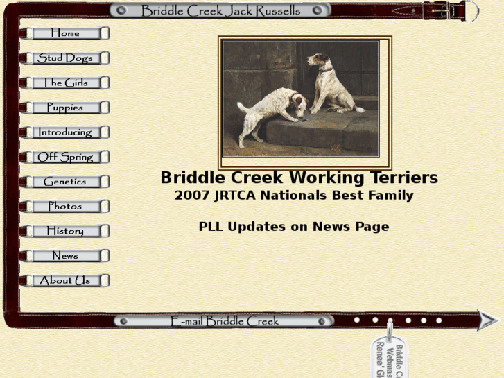 www.briddlecreekjackrussells.com