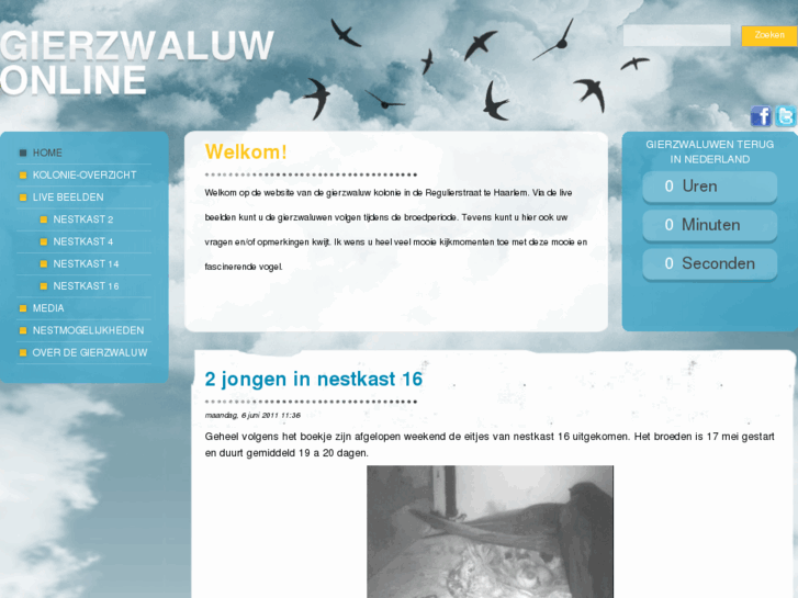 www.gierzwaluwkolonieregulierstraathaarlem.nl