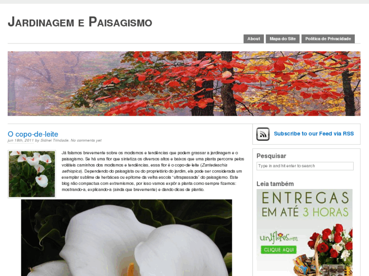 www.jardinagemepaisagismo.com