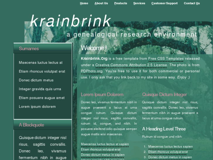 www.krainbrink.net
