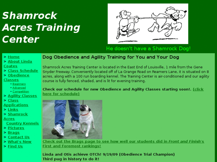 www.shamrockdogs.com