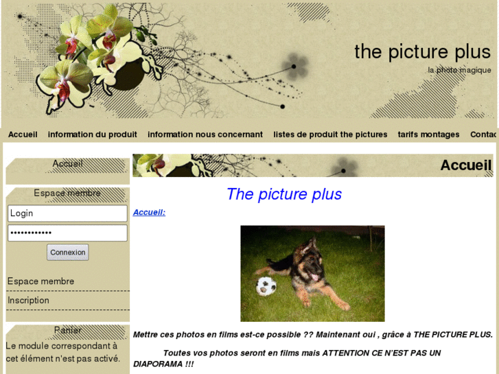 www.thepictureplus.com